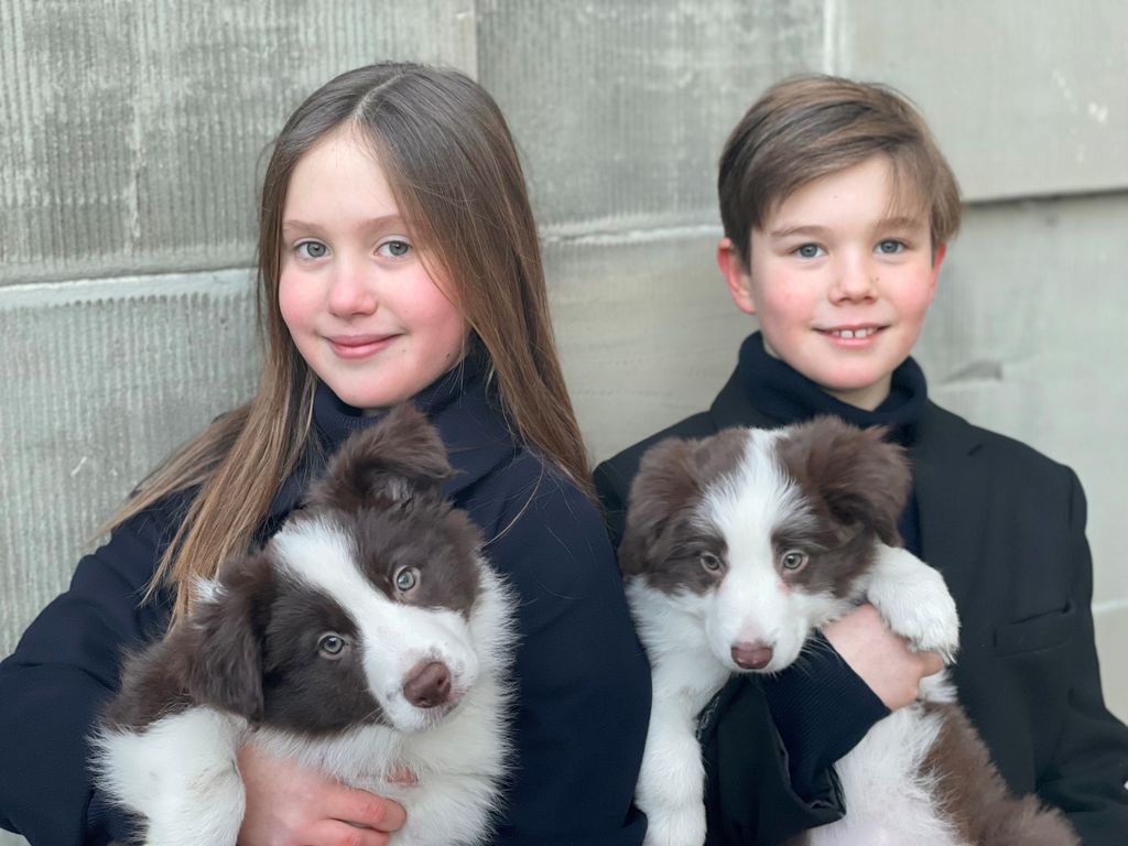 Prince Vincent and Princess Josephine with family puppies on 11th birthday in 