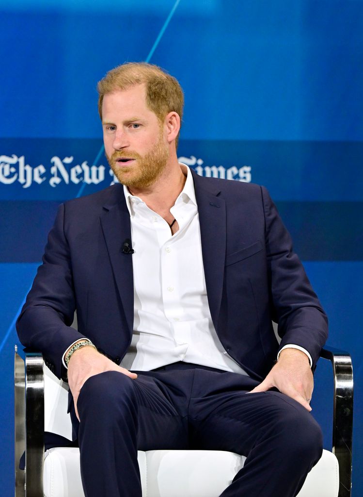 Prince Harry, Duke of Sussex, speaks onstage during The New York Times Dealbook Summit 2024 