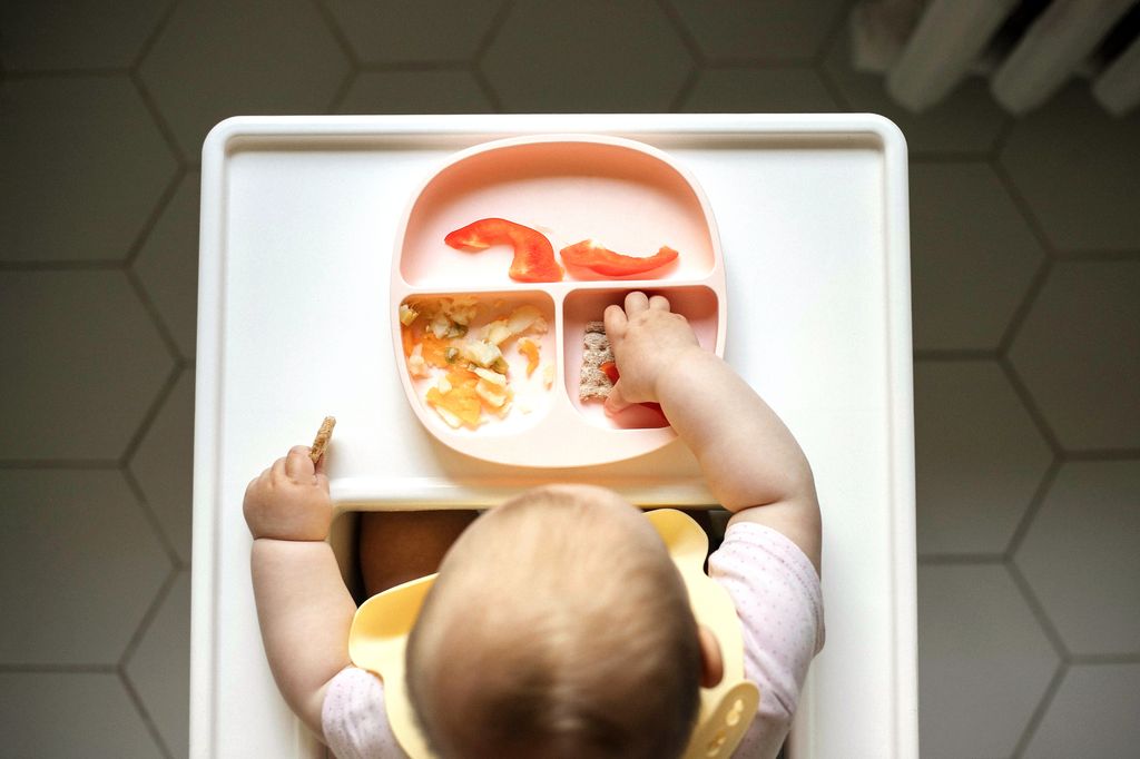 Overhead view of infant baby eating in the table for feeding. Finger foods concept.