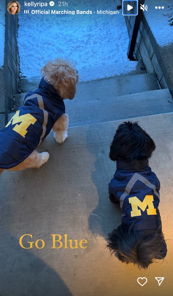 Kelly Ripa was visiting son Joaquin - supporting his college with Michigan University dog coats 