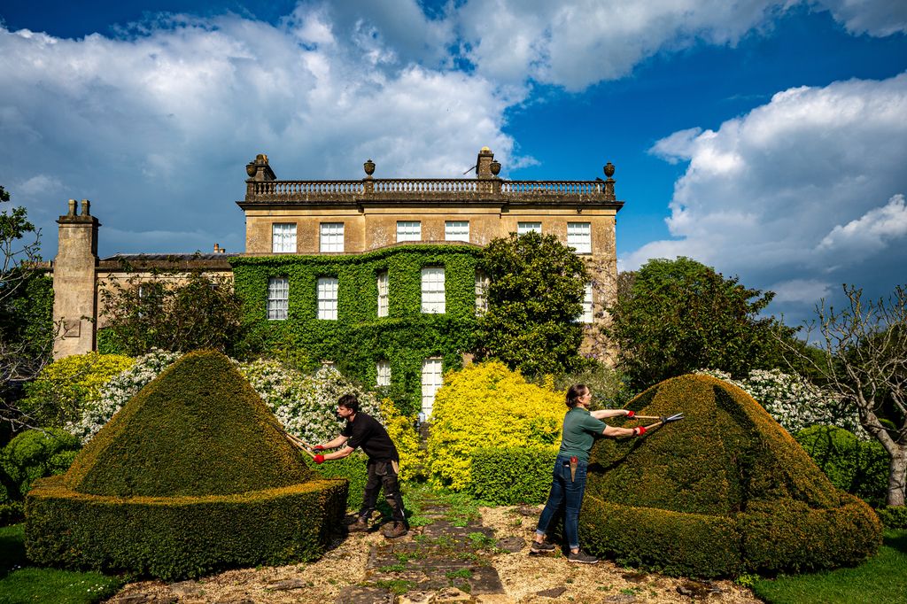 Les jardiniers s'occupent des buissons topiaires de la résidence privée du roi Charles III et de la reine Camilla dans les jardins de Highgrove, Gloucestershire, avant la journée topiaire mondiale le 12 mai, où les jardins sont ouverts au public et accueillent des dizaines de milliers de visiteurs entre avril et octobre de chaque année. Date d'image: mardi 7 mai 2024.