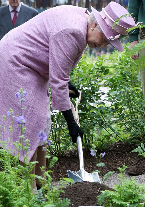 Queen Elizabeth gardening