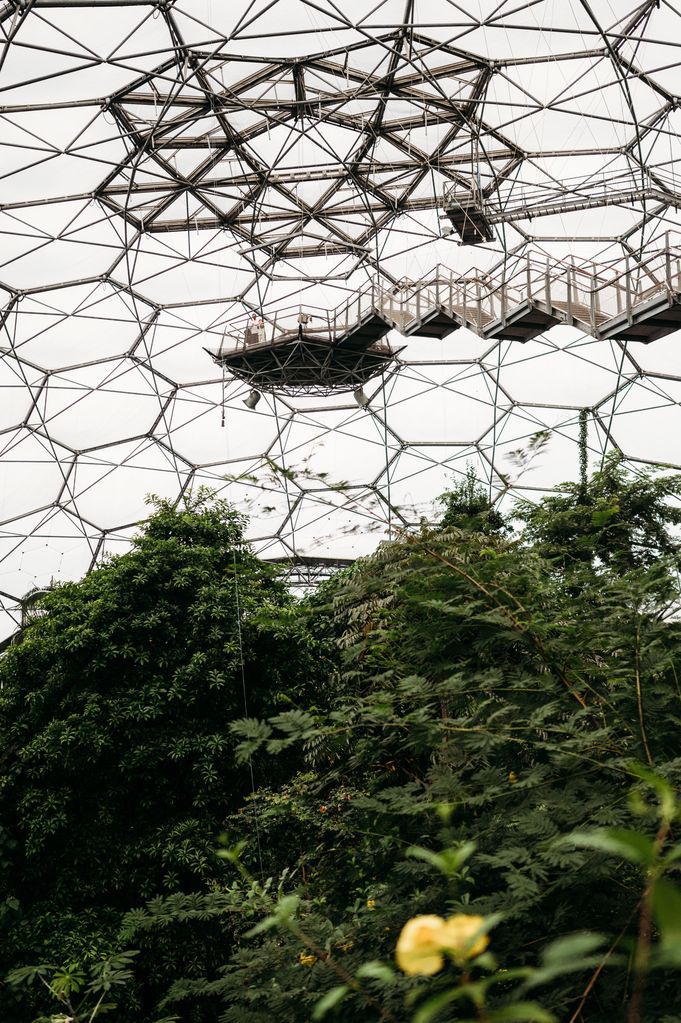 The 55ft viewing platform inside the Rainforest Biome is not for the faint of heart