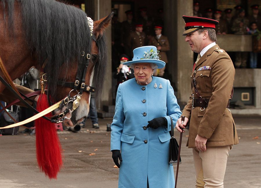 queen  loves horses