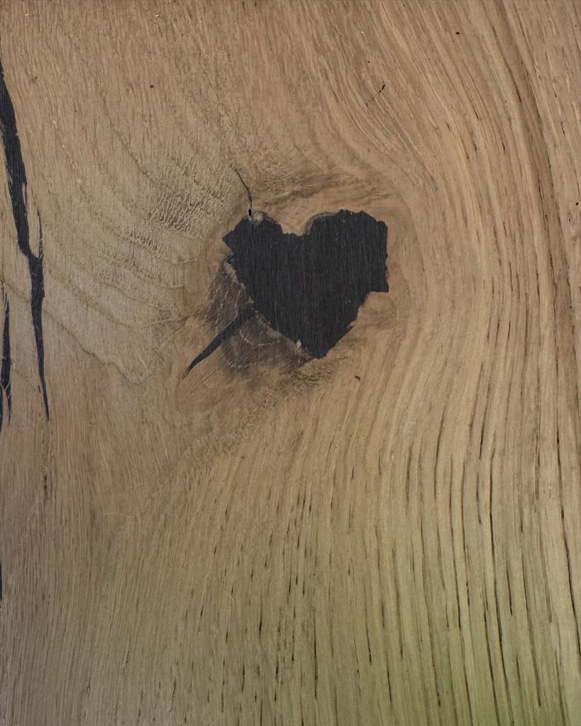 heart-shaped mark on a tree