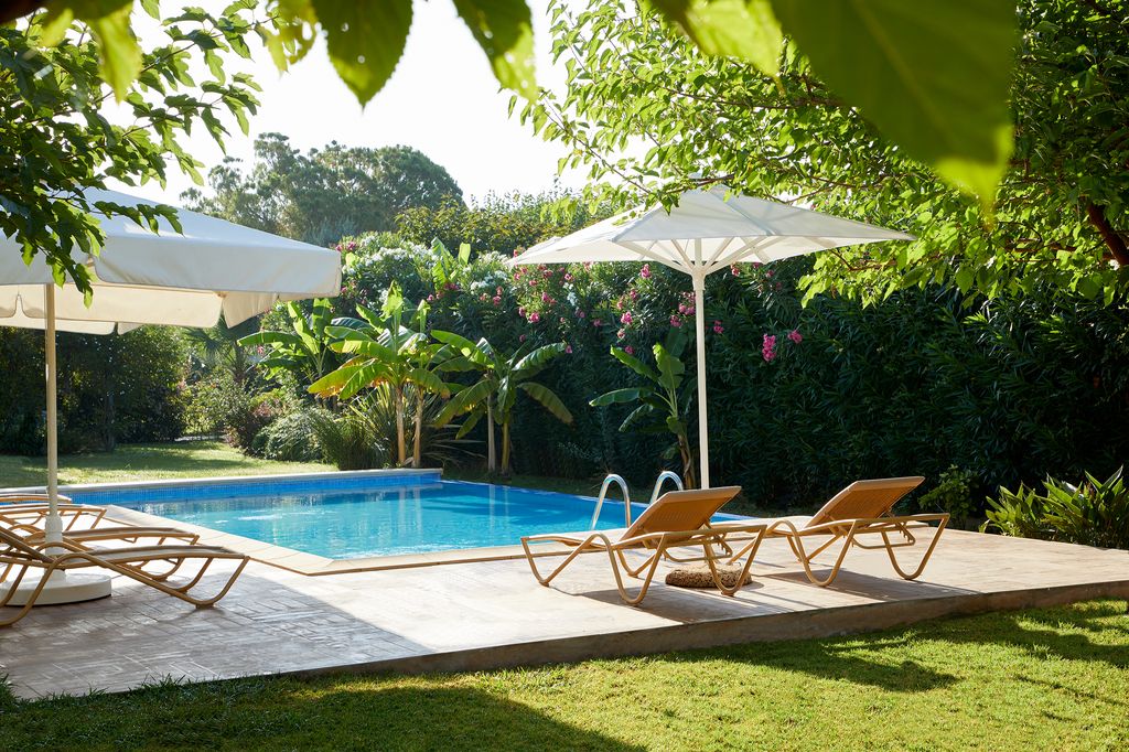Outside pool with deckchairs surrounded by greenery