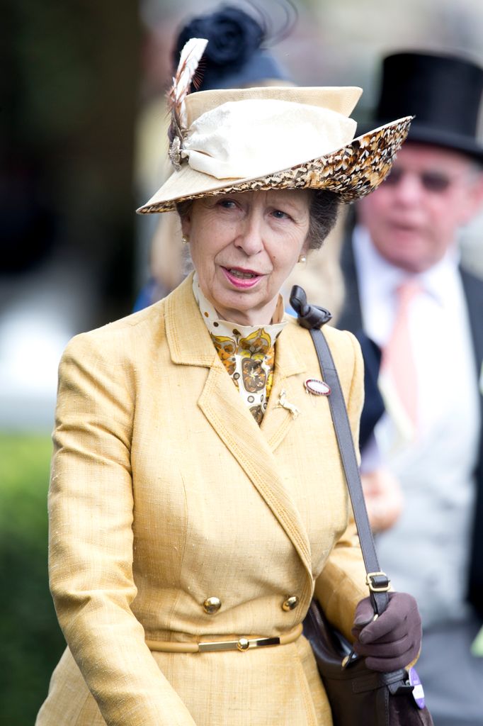Princess Anne telah mengenakan coatdress pada beberapa kesempatan 