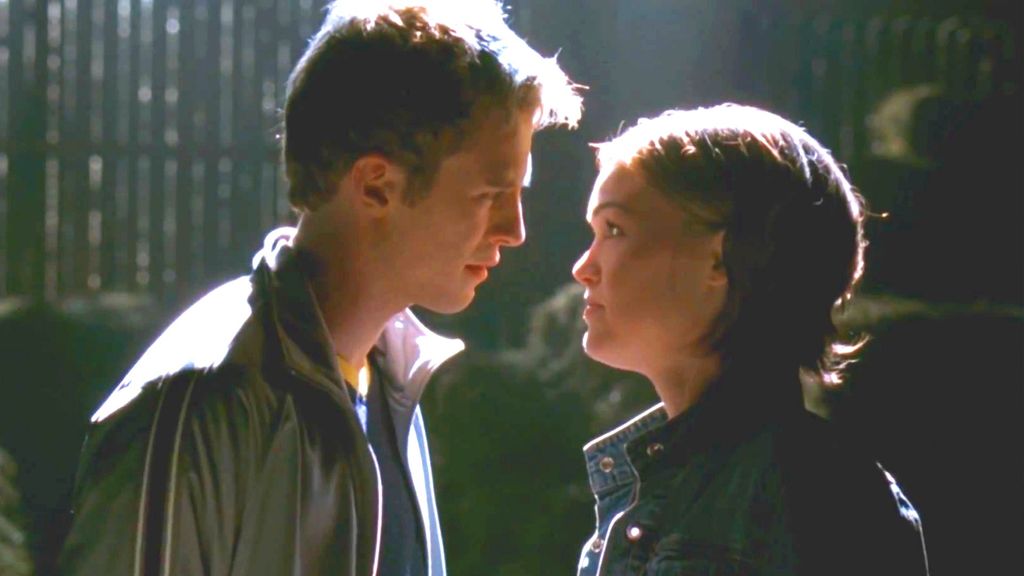 Julia Stiles in The Prince And Me