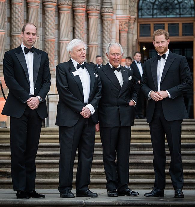 Prince Charles David Attenborough william harry premiere