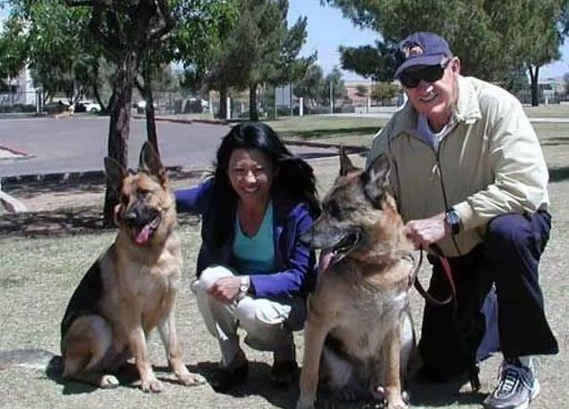 How Gene Hackman’s surviving dogs assisted paramedics in final act of loyalty after his death