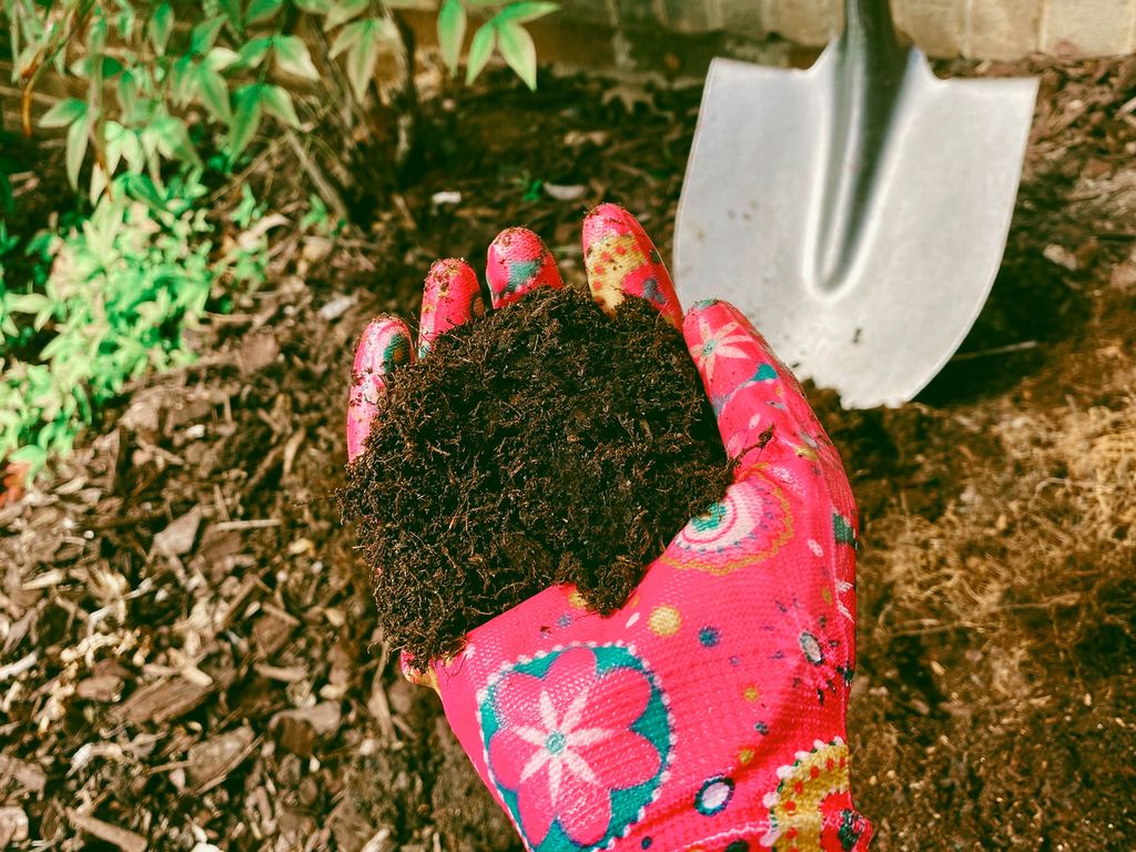 Adding compost to your soil can boost soil fertility ahead of spring
