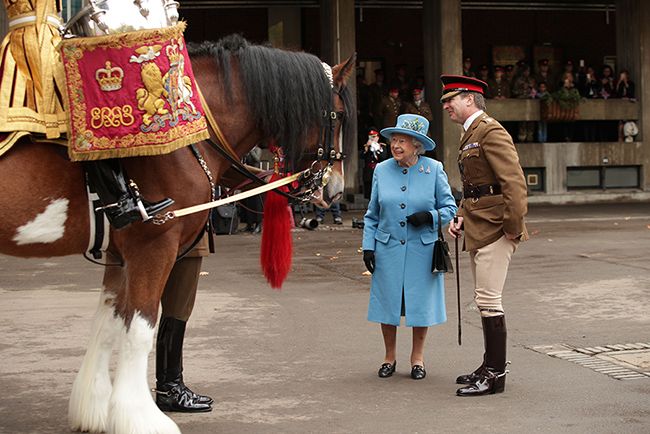the queen and perseus horse at barracks