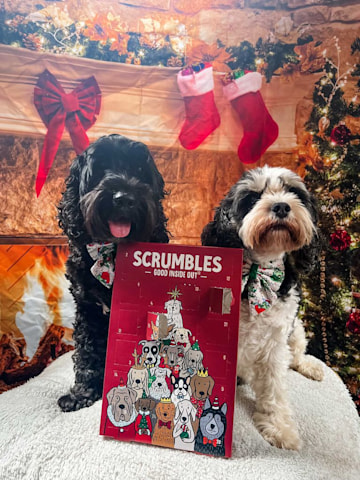 Scrumbles dog advent calendar