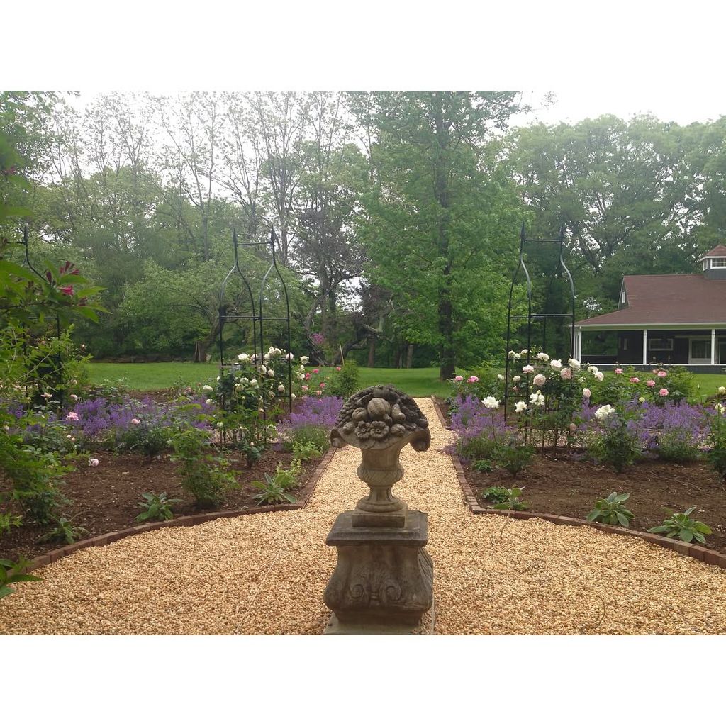 Catherine Zeta Jone's rose garden 