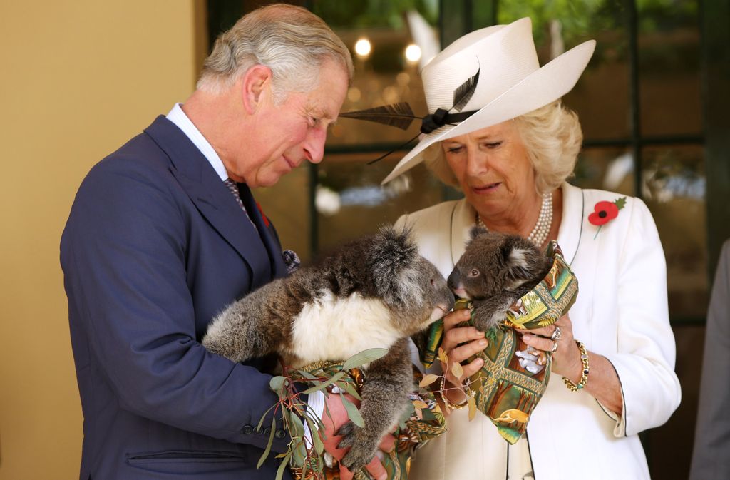 King Charles and Queen Camilla cuddle Koalas in Adelaide