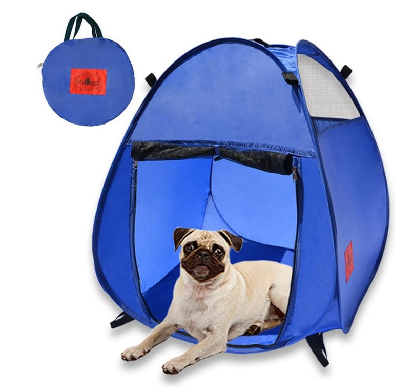 dog beach tent on amazon.