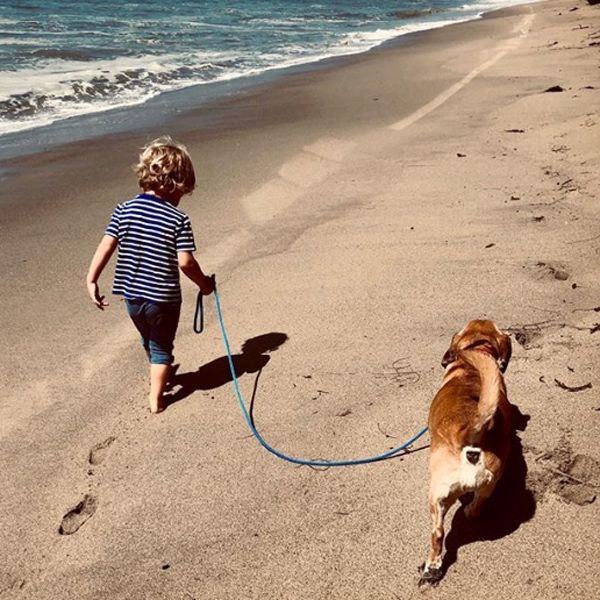 cat deeley son and pet dog