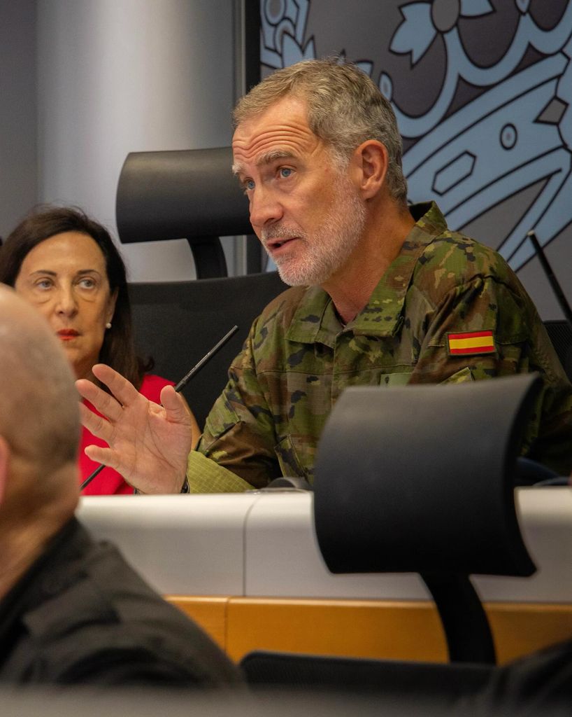 King Felipe dress in camo