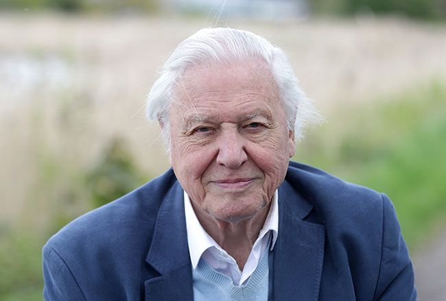 david attenborough