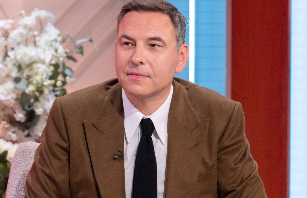 David Walliams in a brown suit