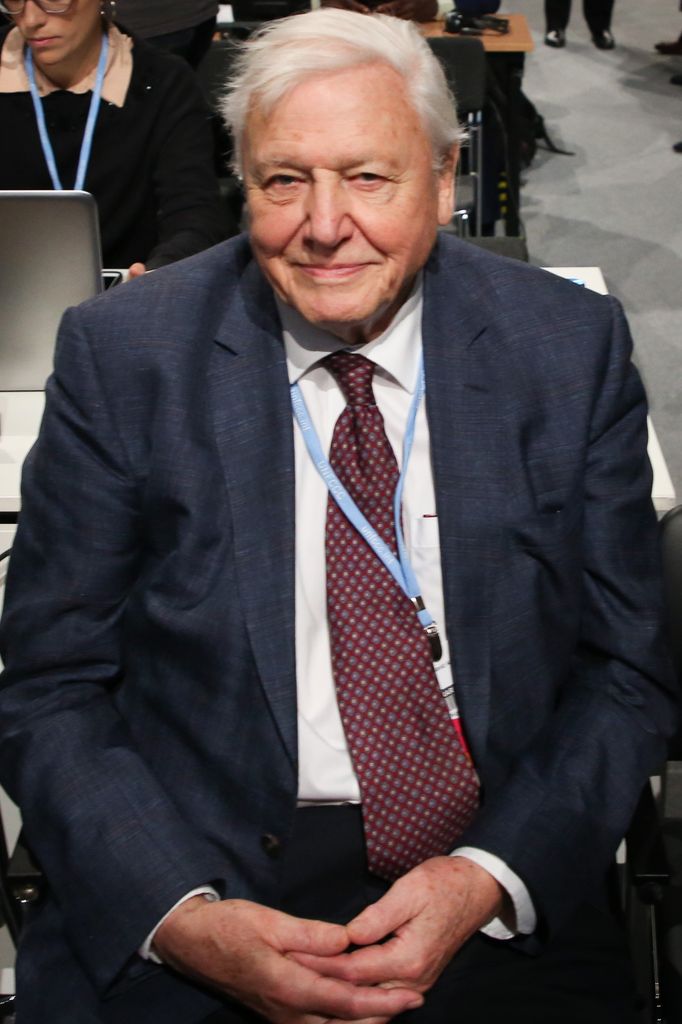 Sir David Attenborough sitting down