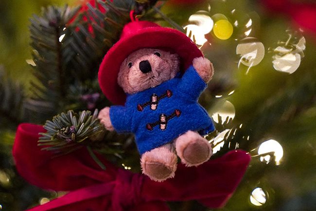 A close up showing a Paddington bear hanging from a christmas tree
