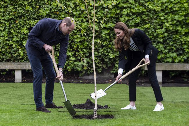 kate middleton and prince william st andrews