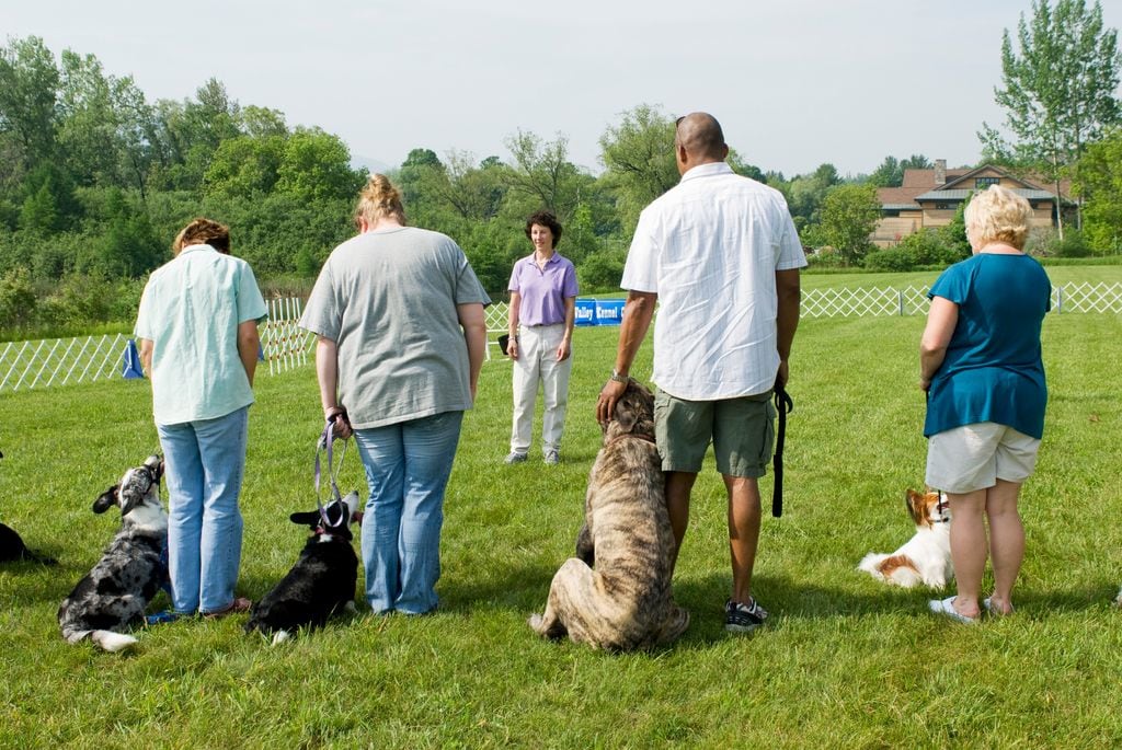Instructor giving direction to a line of owners with their dogs during a dog training class