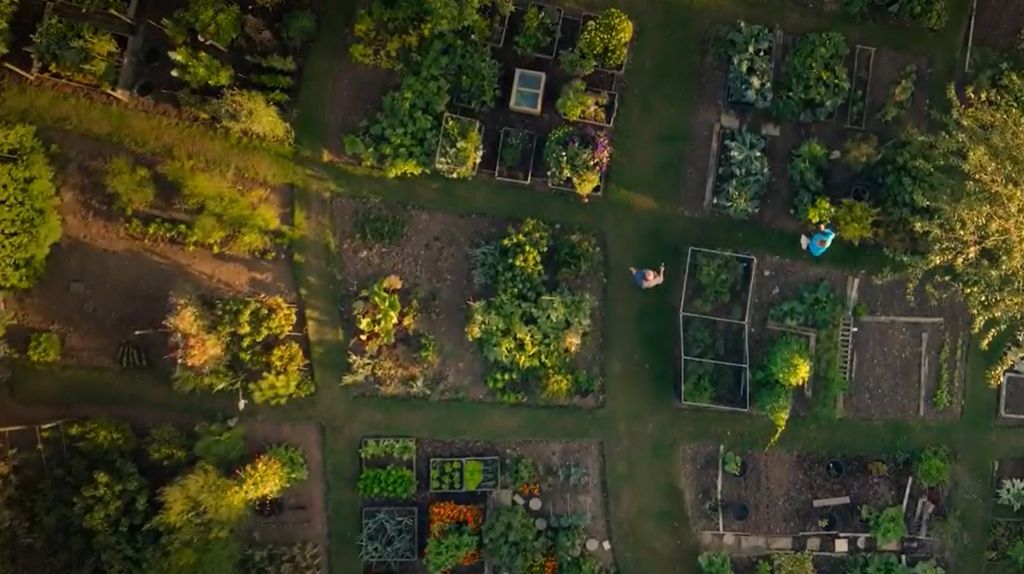 The kitchen garden and vegetable patches at King Charles' home, Highgrove House
