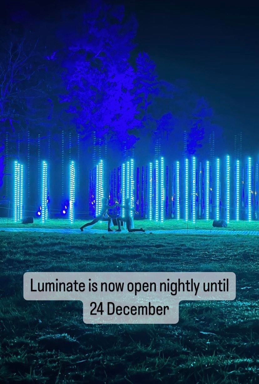 Sandringham's light display will continue until Christmas Eve