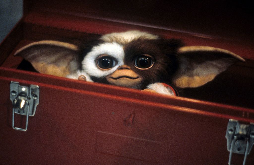Mignon petit truc à fourrure se cache dans une boîte à outils dans une scène du film «Gremlins», 1984