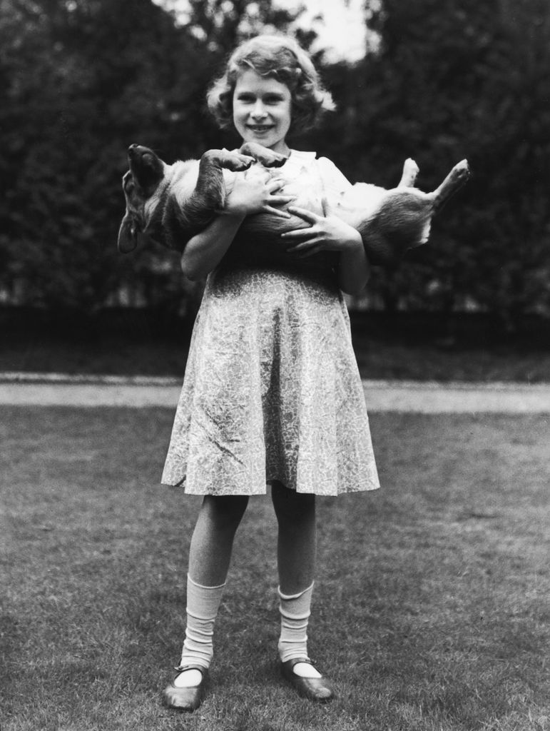 a young girl holding a pet corgi 