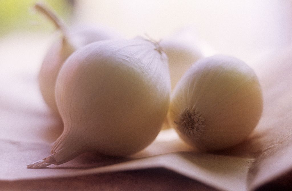 Pearl onion, Allium cepa. (Photo by FlowerPhotos/Universal Images Group via Getty Images)