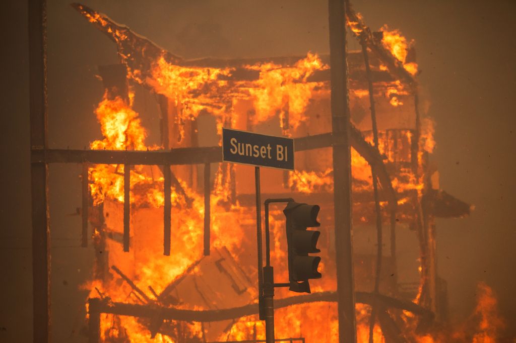 Flames from the Palisades Fire burn a building on Sunset Boulevard amid a powerful windstorm on January 8, 2025 in the Pacific Palisades neighborhood of Los Angeles#