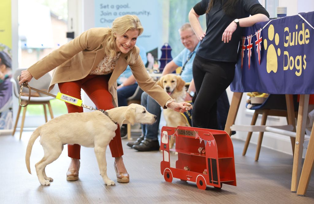 Sophie looked chic in red trousers and a smart beige jacket combo