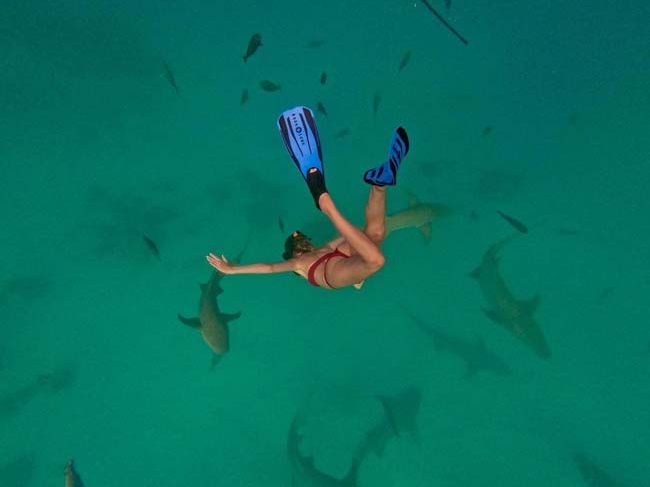 rose ayling ellis swimming with sharks