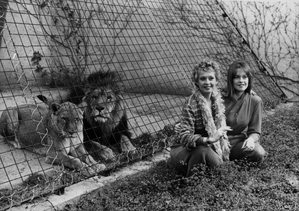 Tippi Hedren Melanie Griffith with lions