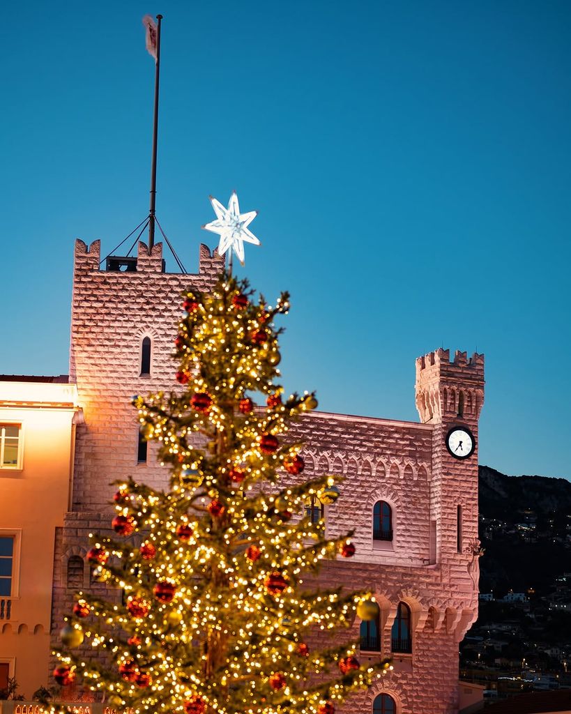 Princess Charlene's Christmas tree in front of buildings at the Prince's Palace