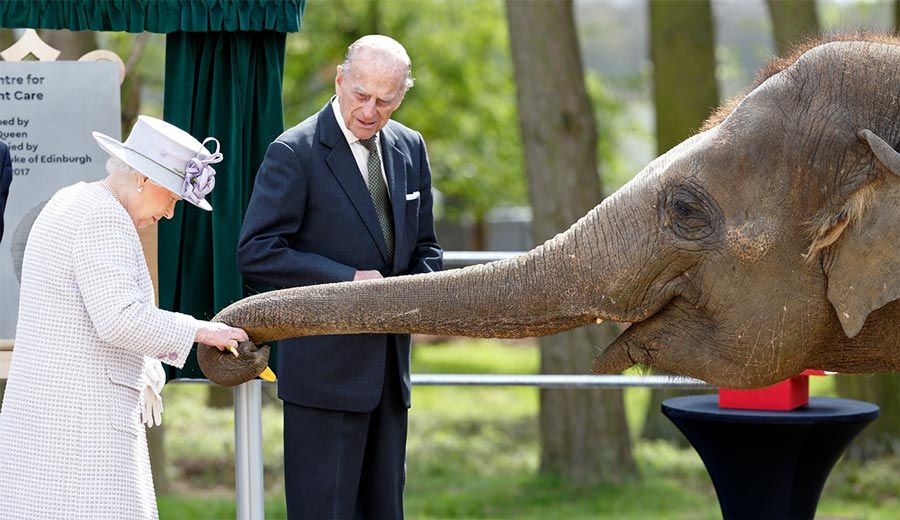 queen philip elephant