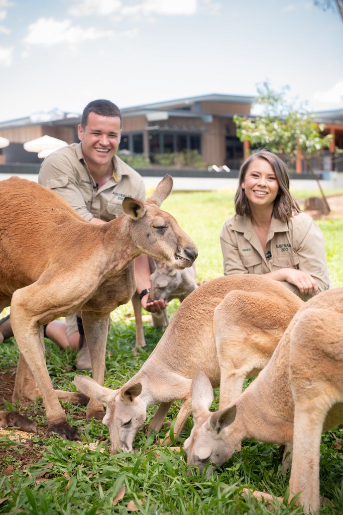 Bindi Irwin and Chandler look happy as they spend time with the Kangeroos