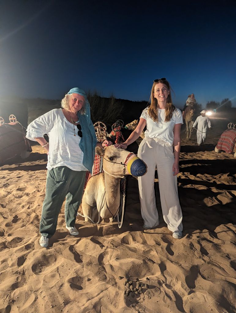 Meeting camels in the desert