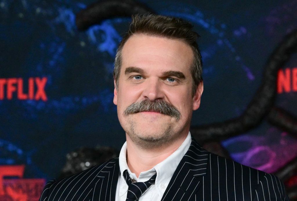Des membres du casting de Stranger Things portés disparus au mariage de Maya Hawke à New York : ce que nous savons 5 David souriant moustache