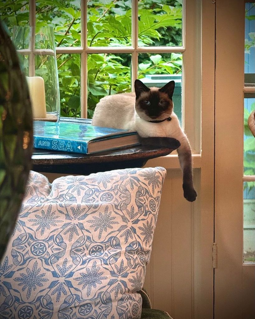 Mariska Hargitay shares a look at her cat Karma inside her family home in the East Hamptons, posted on Instagram