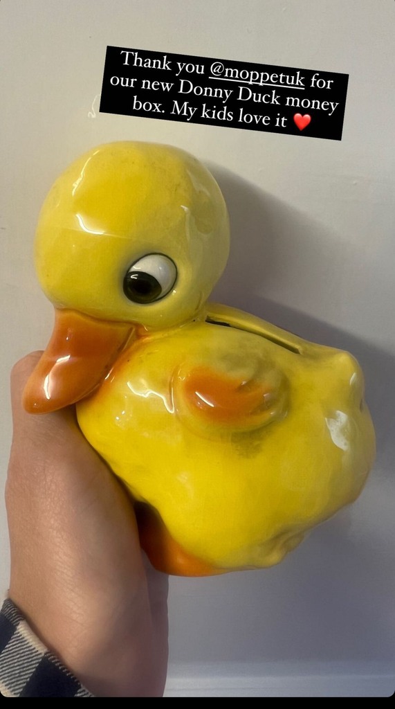 A photo of a duckling money box 