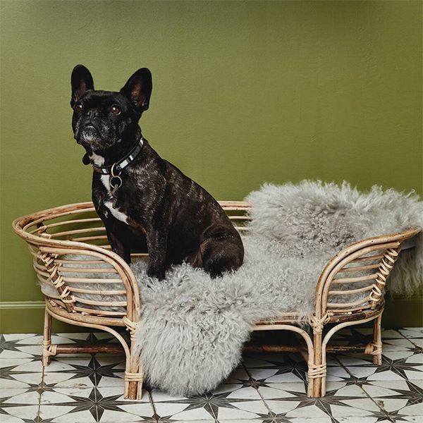 dog bed rattan