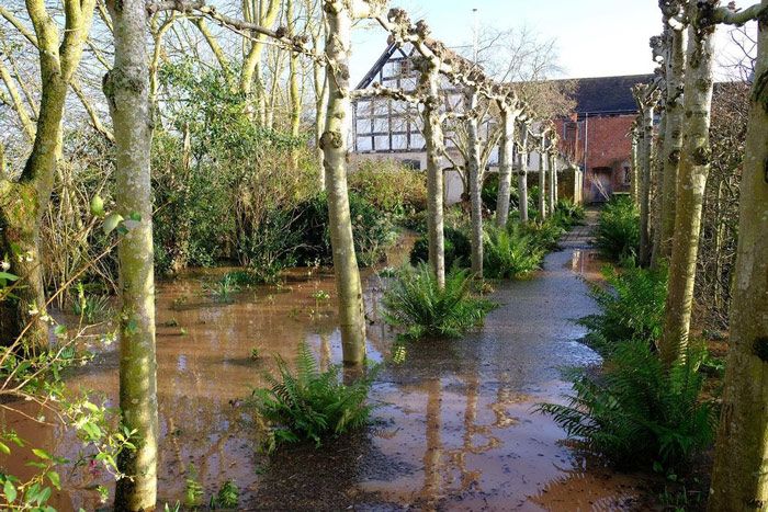 monty floods garden feb