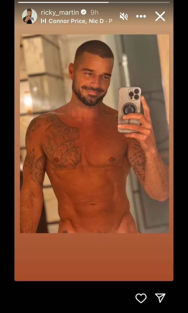 photo of ricky martin topless