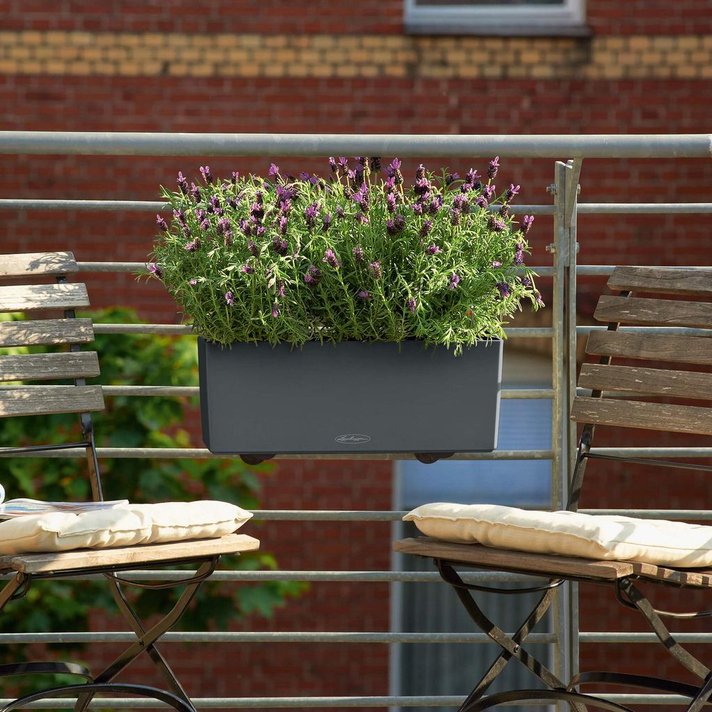 A planter on a balcony railing