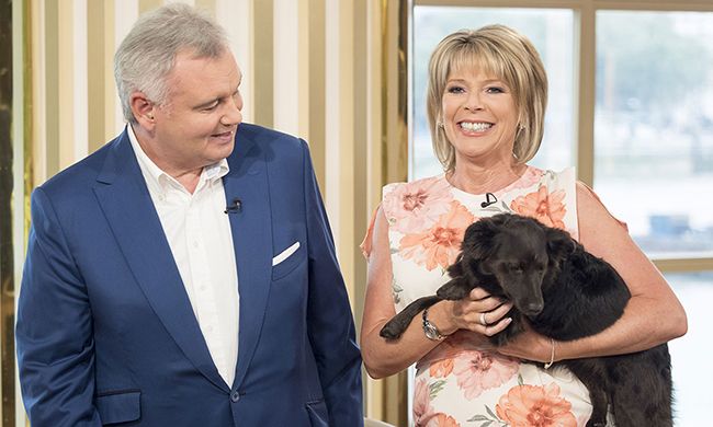 Eamonn looks at Ruth holding puppy on This Morning