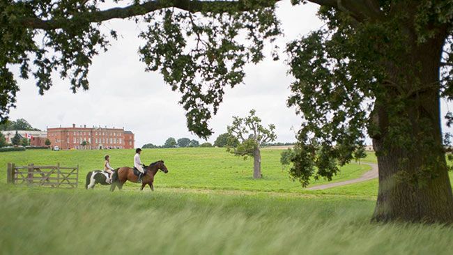 horse riding four seasons hampshire